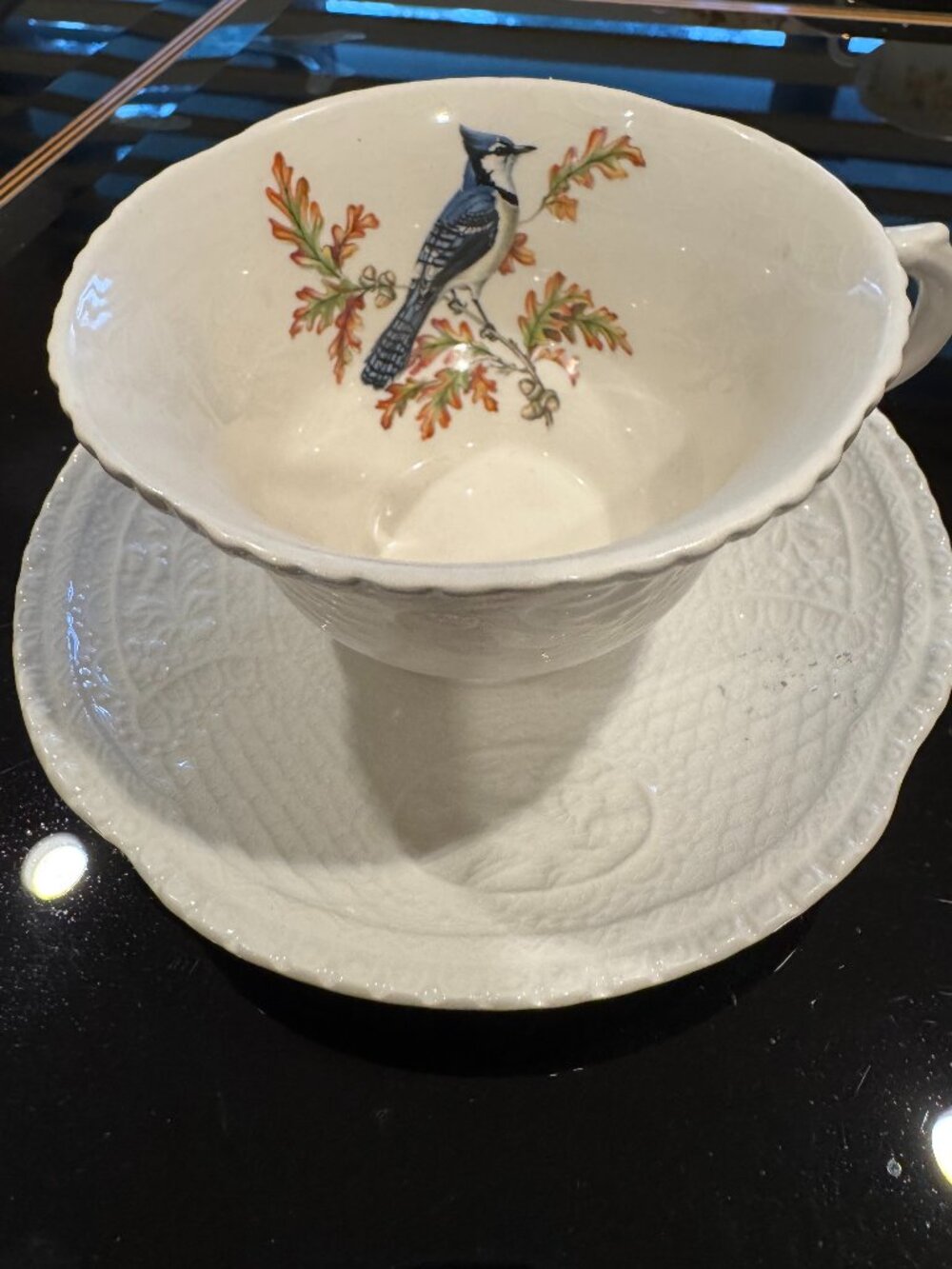 Vintage Royal Cauldron Aviary Teacup and Saucer